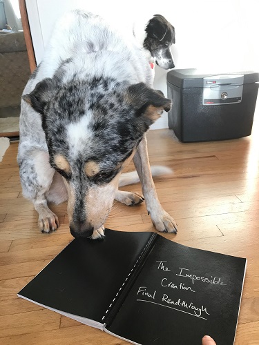 Betsy Flak's dog looking awkward over a black bound notebook entitled 'The Impossible Creation: Final Readthrough.'