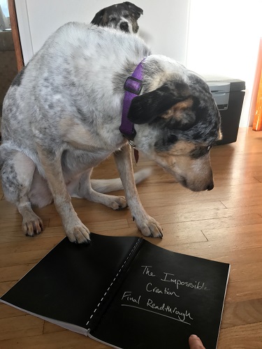 Betsy Flak's dog looking awkward over a black bound notebook entitled 'The Impossible Creation: Final Readthrough.'